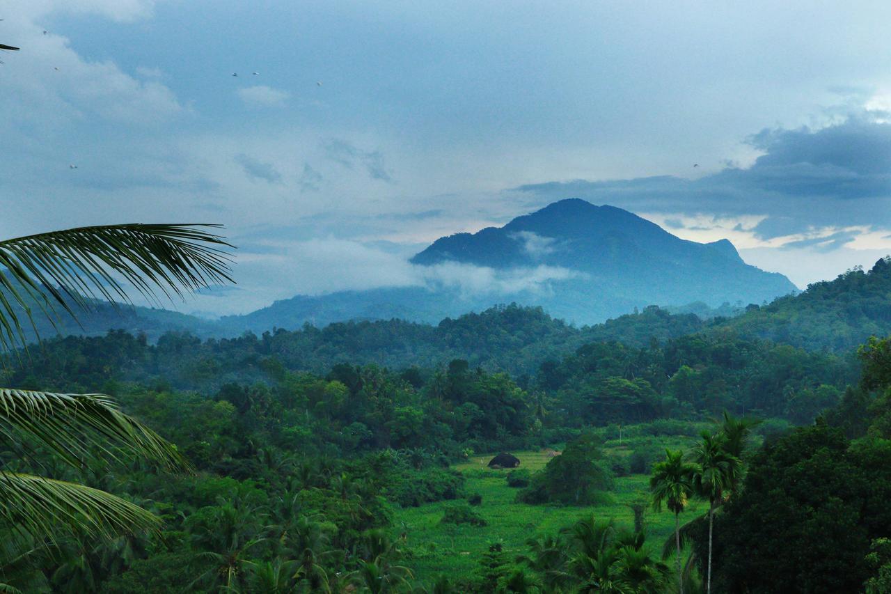 Peak View Holiday Resort Ratnapura Zewnętrze zdjęcie